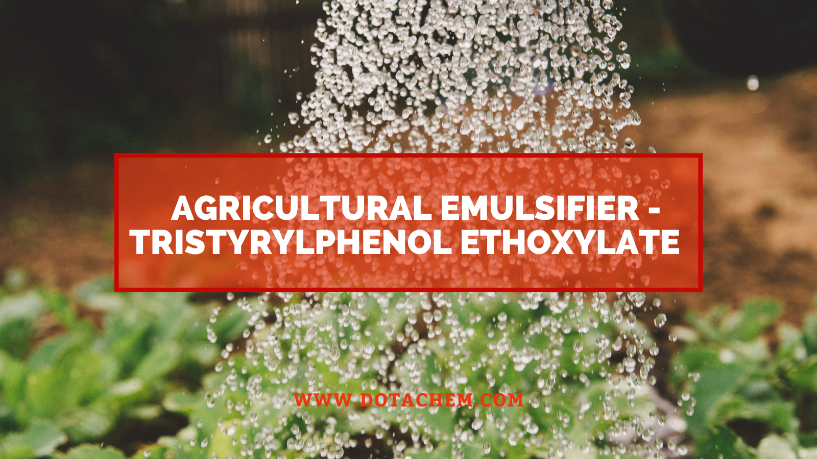 خيار جديد للمستحلب الزراعي - يتم توفير Tristyrylphenol Ethoxylate من Dotachem بشكل احترافي!